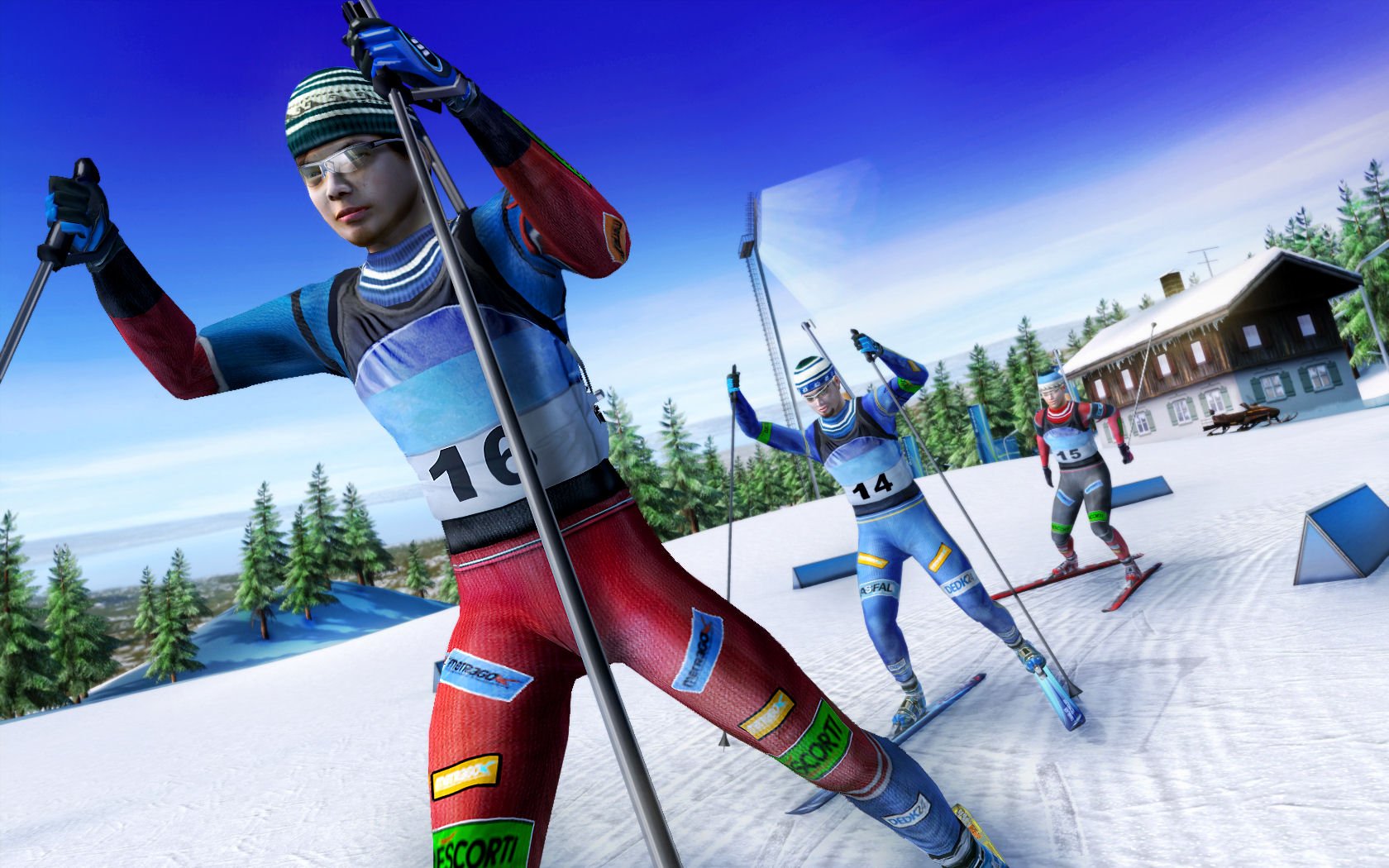 Biathlon 2009 — скриншот 1