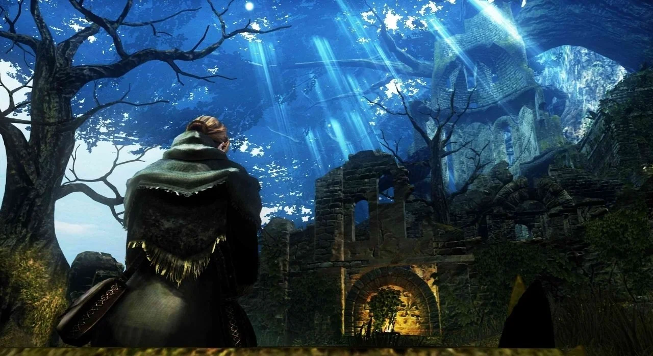Dark Souls - кадр 11