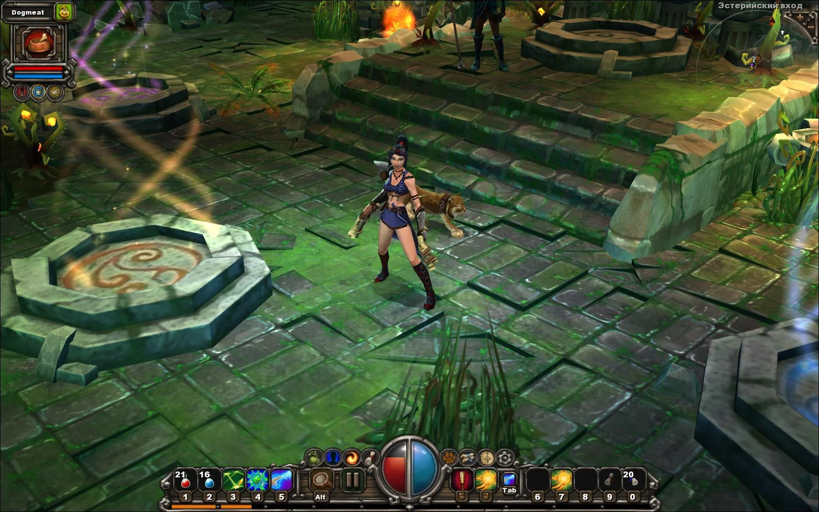Torchlight - кадр 8