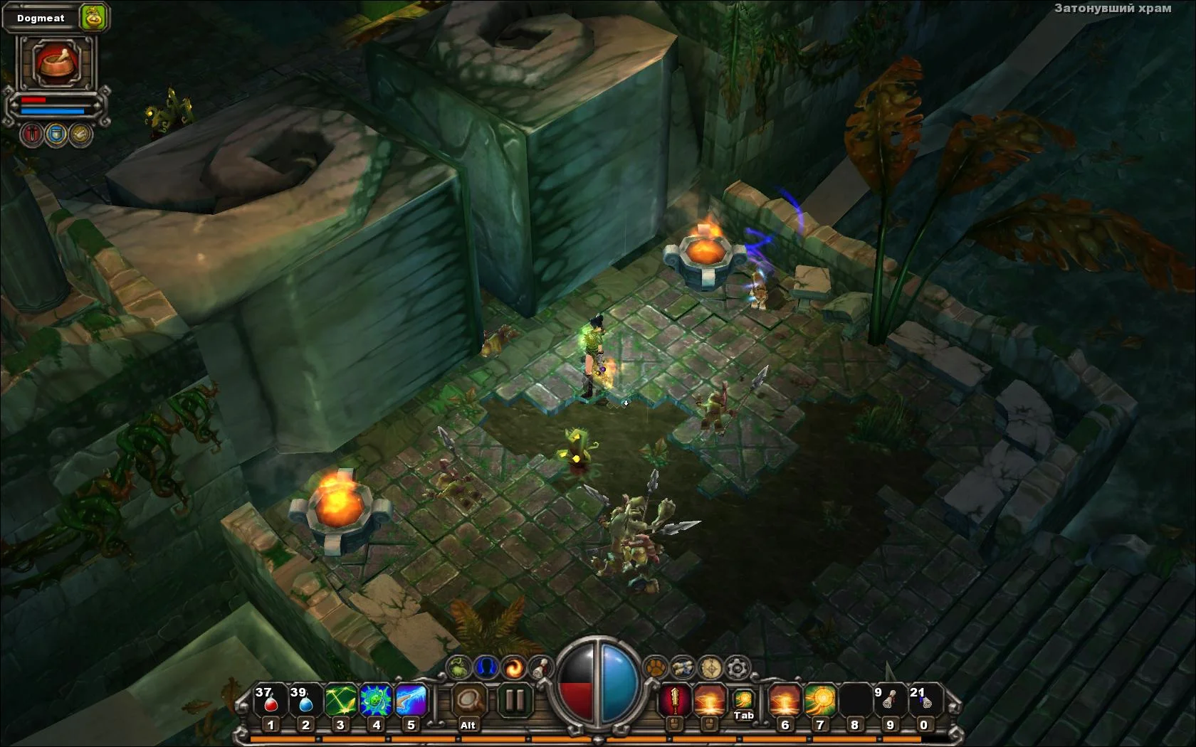 Torchlight - кадр 9