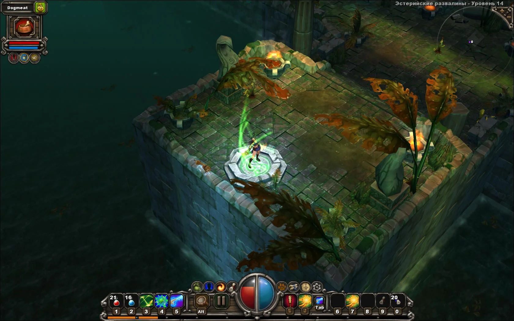 Torchlight - кадр 17