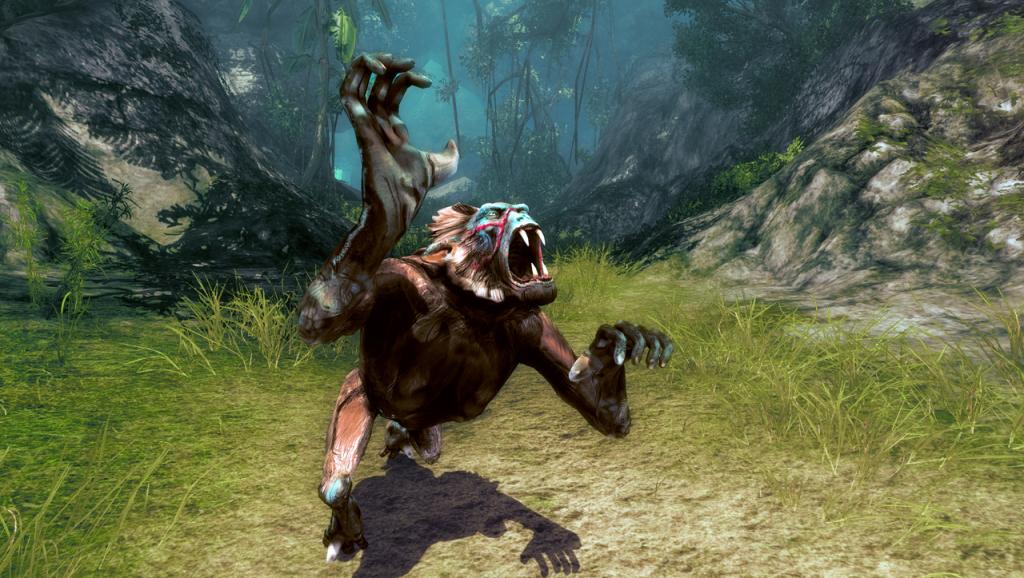 Risen 2: Dark Water — скриншот 6