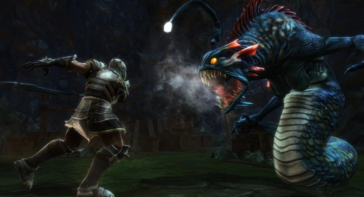 Kingdoms of Amalur: Reckoning - кадр 15