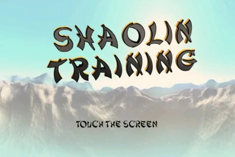 Shaolin Training - кадр 3
