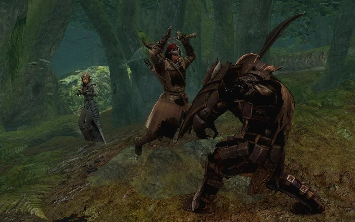 The Lord Of The Rings: War In The North - кадр 13