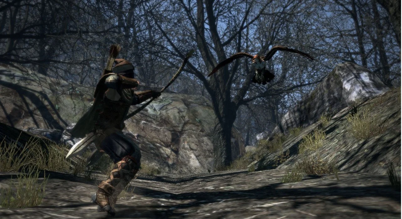 Dragon's Dogma - кадр 9