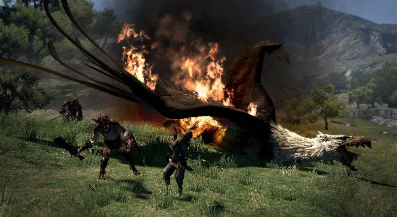 Dragon's Dogma - кадр 15