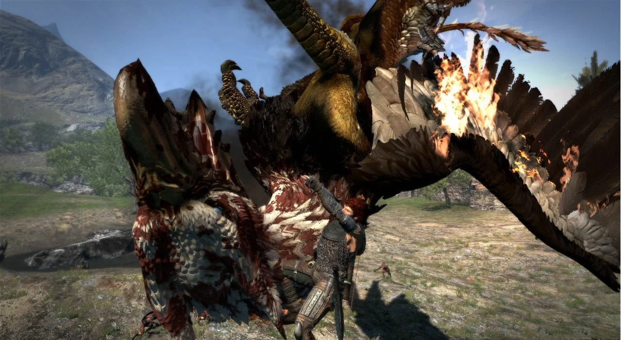 Dragon's Dogma - кадр 13