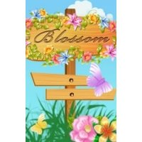 Blossom — скриншот 4