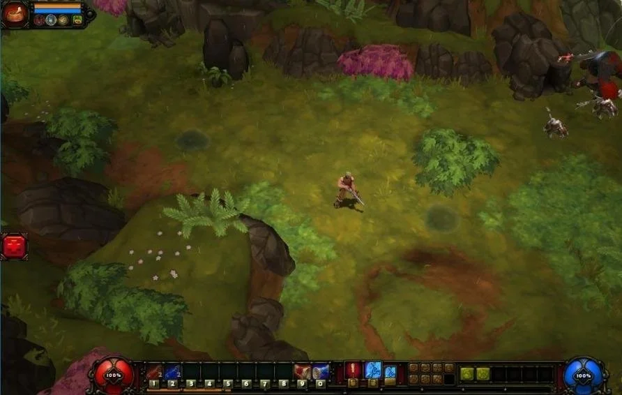 Torchlight 2 - кадр 1