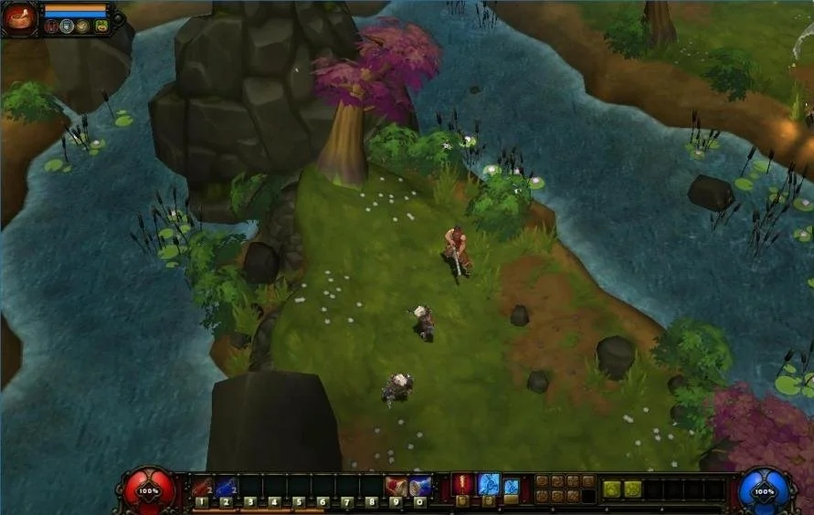 Torchlight 2 - кадр 4