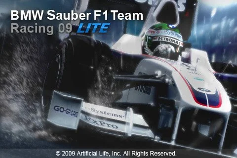 BMW Sauber F1 Team Racing - кадр 3