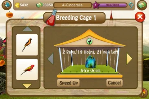 Tap Birds - кадр 5