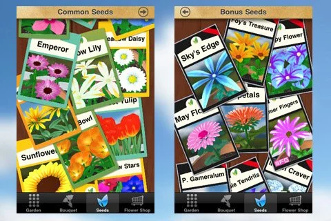 Flower Garden - кадр 4