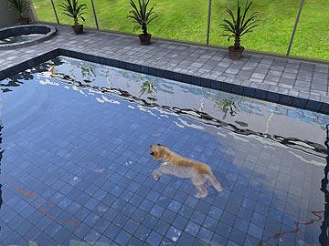 Paws & Claws: Pampered Pets — скриншот 4