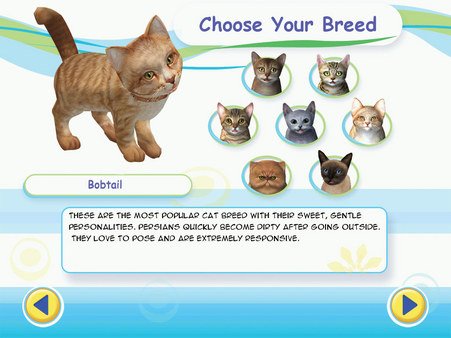 Petz Catz 2 — скриншот 4