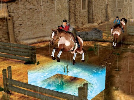 Petz Horsez 2 — скриншот 4