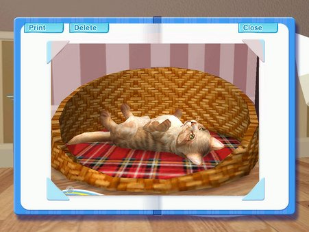 Petz Catz 2 — скриншот 3
