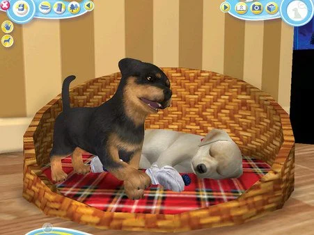 Petz Dogz 2 - кадр 5