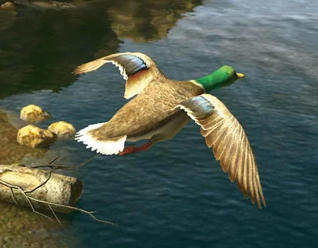 Cabela's Big Game Hunter: Trophy Bucks - кадр 3