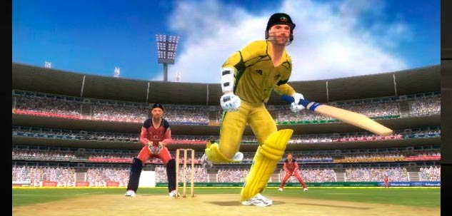 International Cricket 2010 — скриншот 2