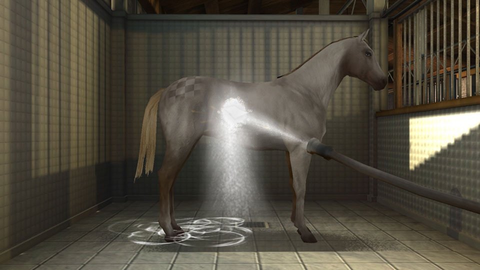 My Horse And Me 2 — скриншот 3