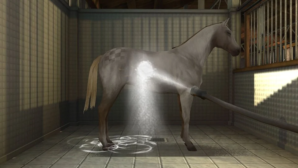 My Horse And Me 2 - кадр 3
