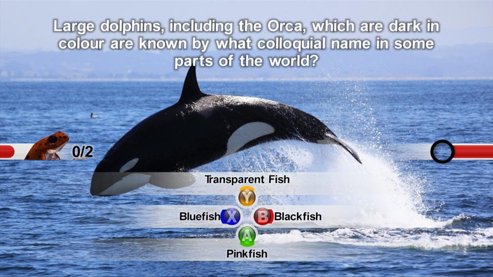 NatGeo Quiz! Wild Life — скриншот 3