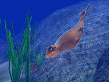 Sea Life Safari - кадр 3