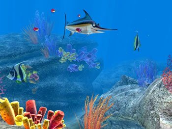 Sea Life Safari — скриншот 4