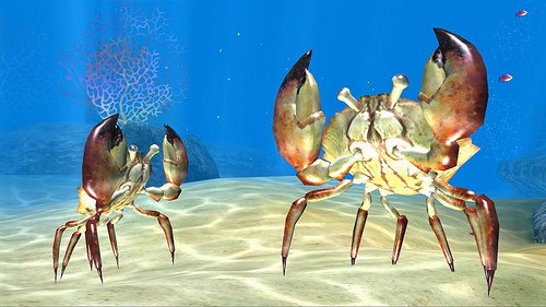 Sea Life Safari — скриншот 1