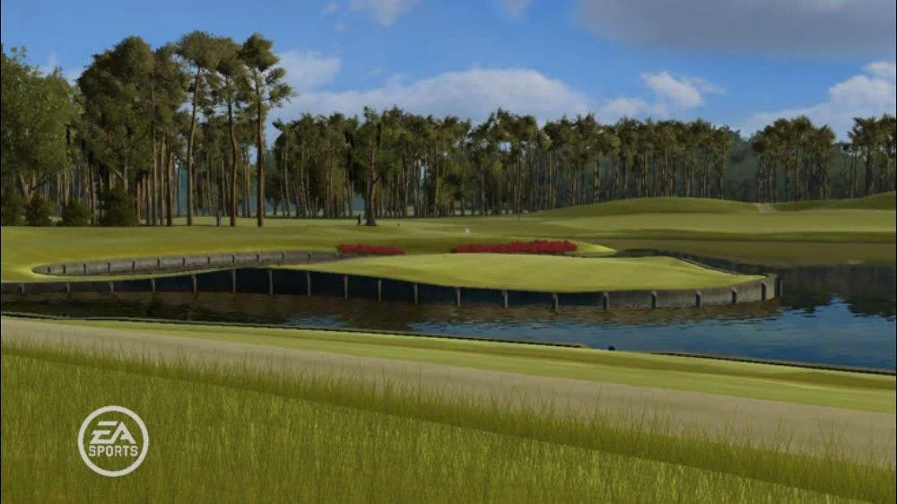 Tiger Woods PGA TOUR 09 - кадр 5
