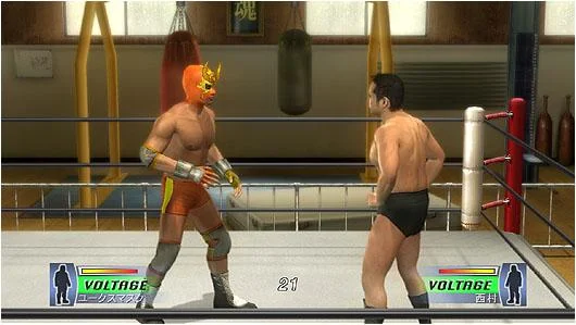 WRESTLE KINGDOM - кадр 5