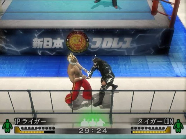 WRESTLE KINGDOM - кадр 3