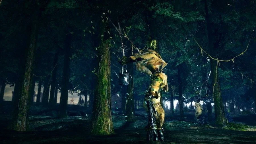 Dark Souls - кадр 2