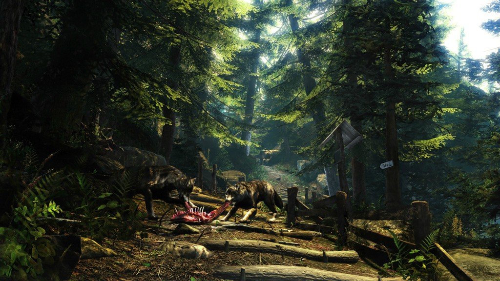 E3: Авторы Two Worlds 2 делают игру в жанре ужасов - изображение обложка