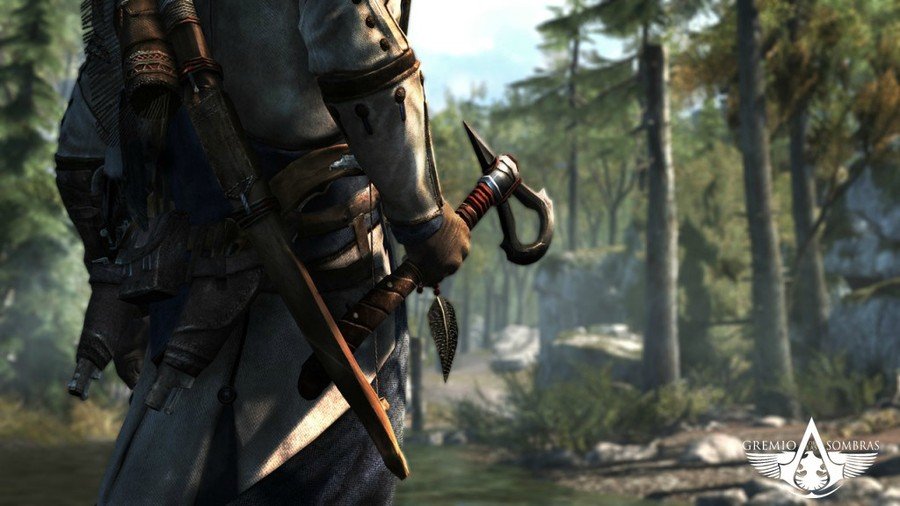 Assassin's Creed 3 — скриншот 6