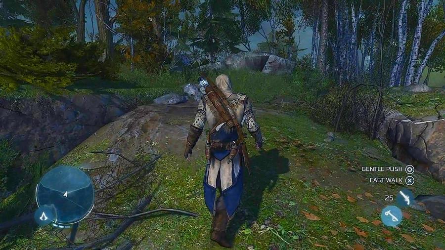 Assassin's Creed 3 — скриншот 4