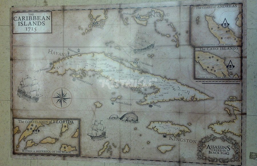 Assassin's Creed 4: Black Flag — скриншот 2