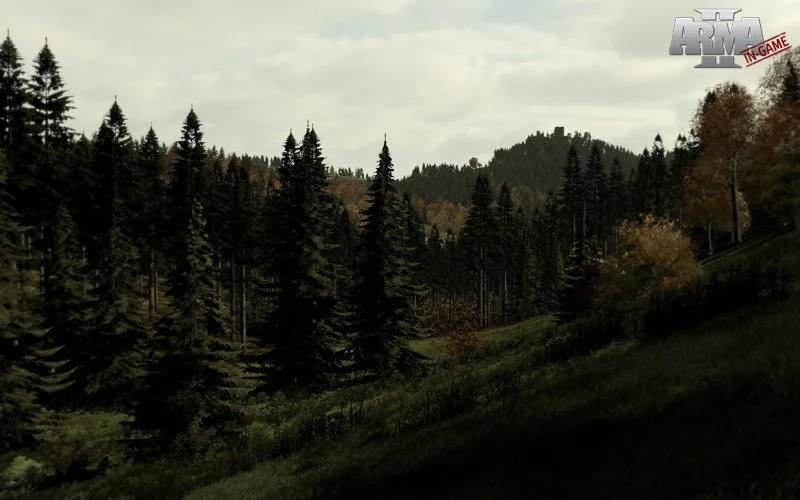 Arma 2 - кадр 5