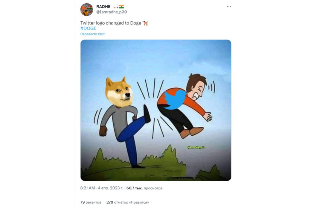В Twitter строят теории об Илоне Маске и смене логотипа на собачку Doge — фото 5