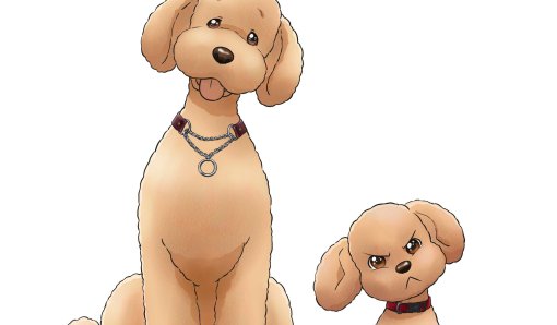 Появились подробности аниме Dog Signal про дрессировщиков собак