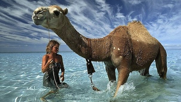 10 хороших фильмов, которые вы пропустили этим летом (часть первая) — фото 5