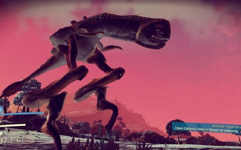 Почему в No Man's Sky все похоже на члены? — фото 2