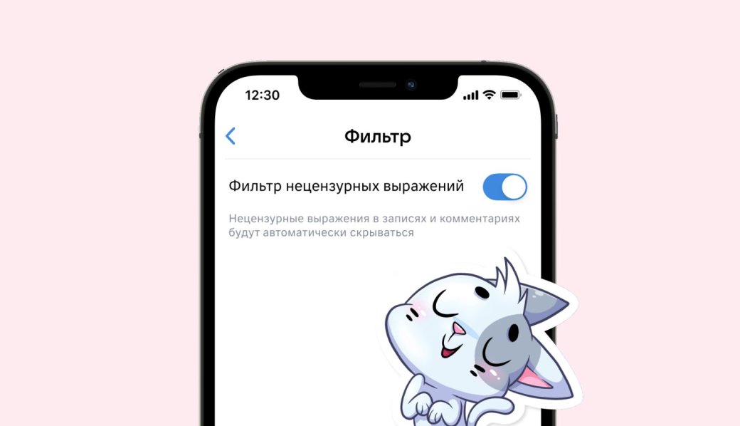 «ВКонтакте» добавил опциональный фильтр для ненормативной лексики — фото 1