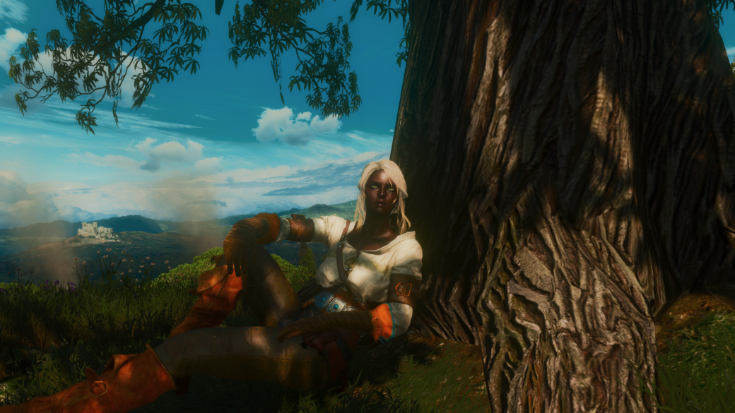 5 модов для The Witcher 3: Wild Hunt, «убивающих» книжный канон — фото 6