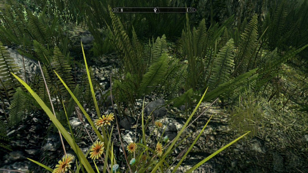 Как TES 5: Skyrim выглядит и работает на Nintendo Switch? Отвечаем скриншотами и гифками — фото 6