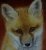 Lisenok_Tom