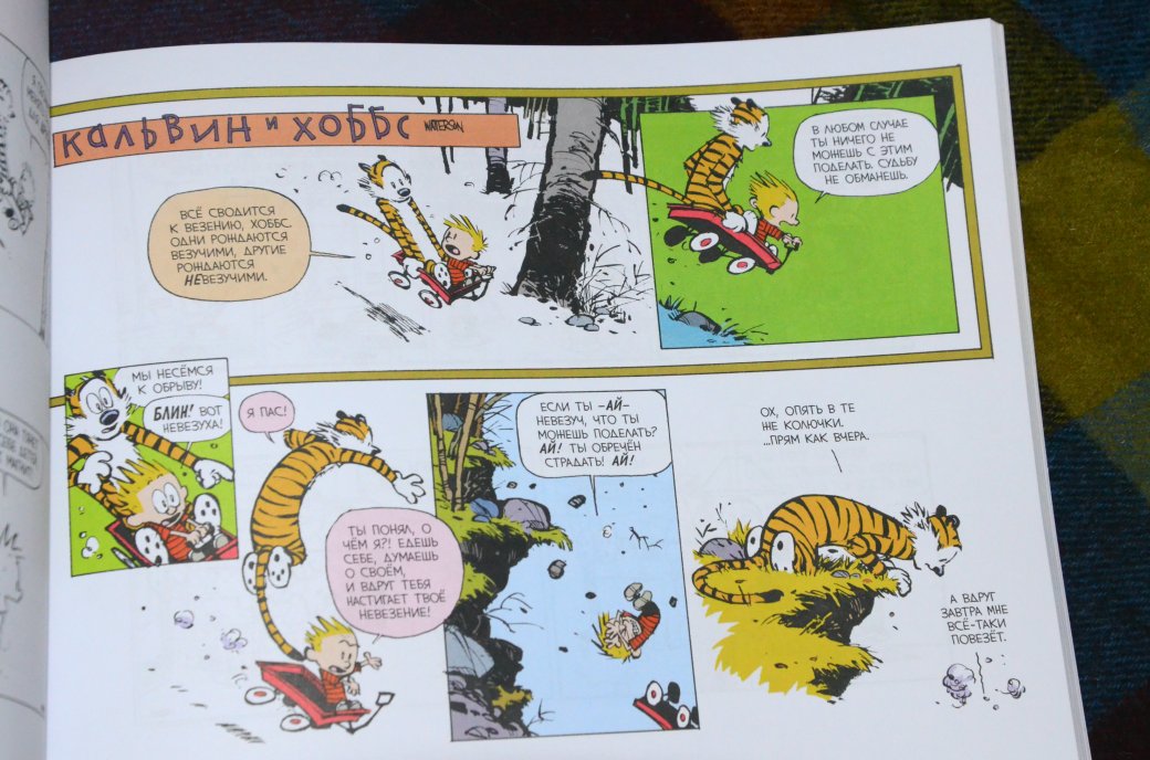 Галерея «Кальвин и Хоббс» — чем покорил фанатов комикс о любопытном мальчике и его друге-тигре? - 2 фото