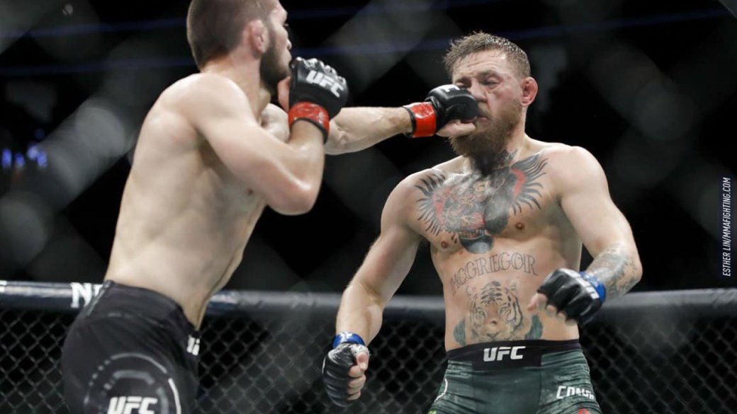 Хабиба Нурмагомедова отстранили от боев UFC на девять месяцев за драку с Конором Макгрегором — фото 1
